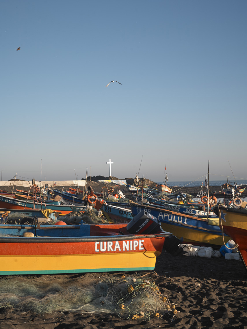 018Curanipe_44