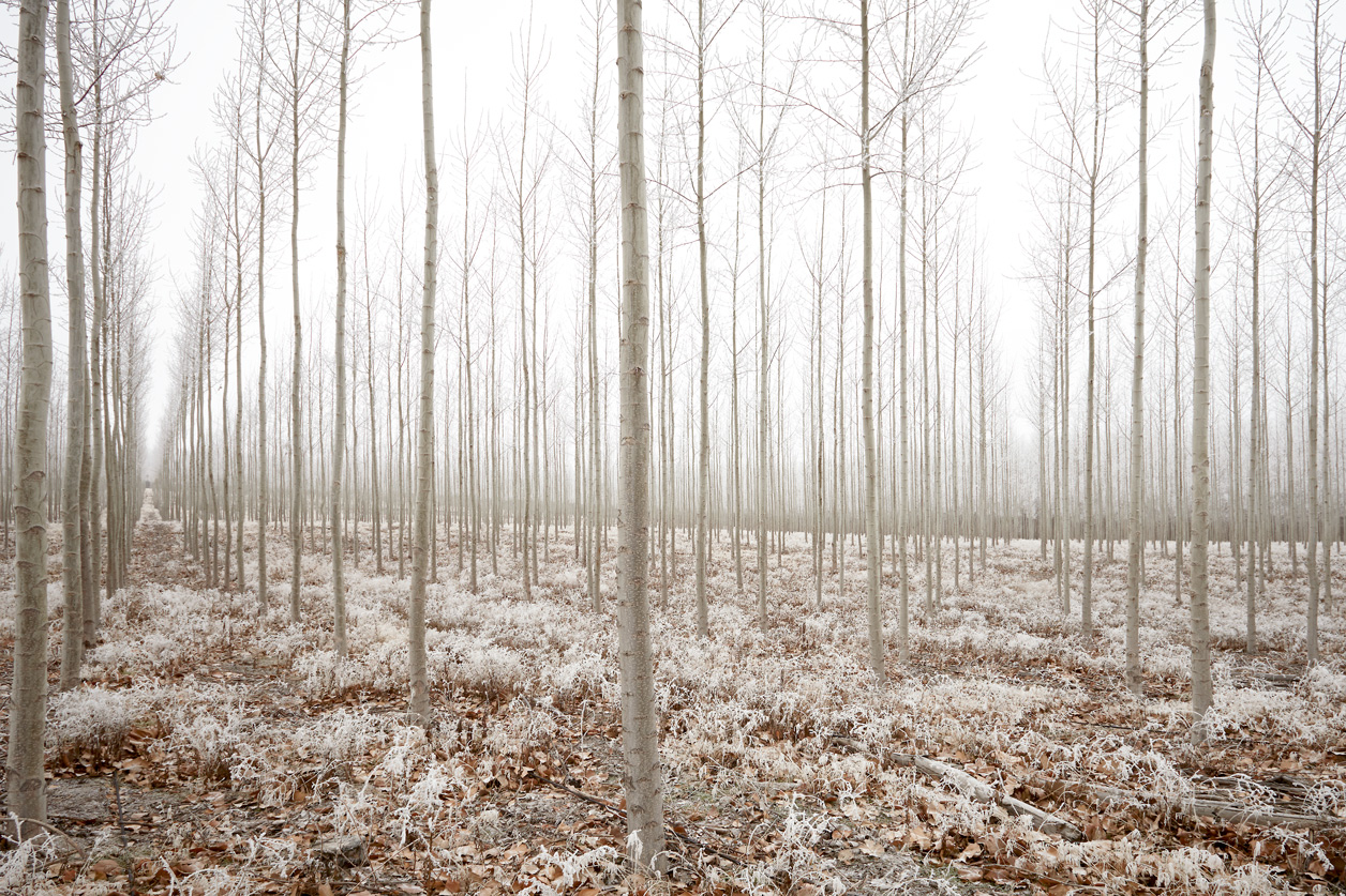 2011_Winter_SandpointDrive_MG_9965_r